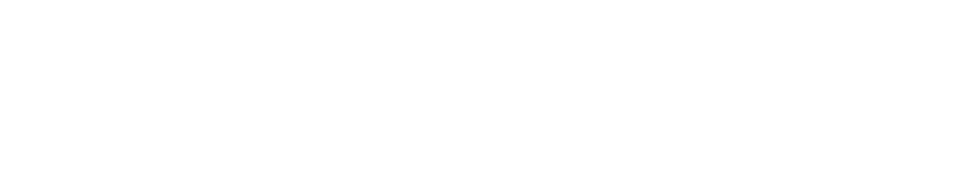 widget-logo